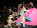 IMG_11
